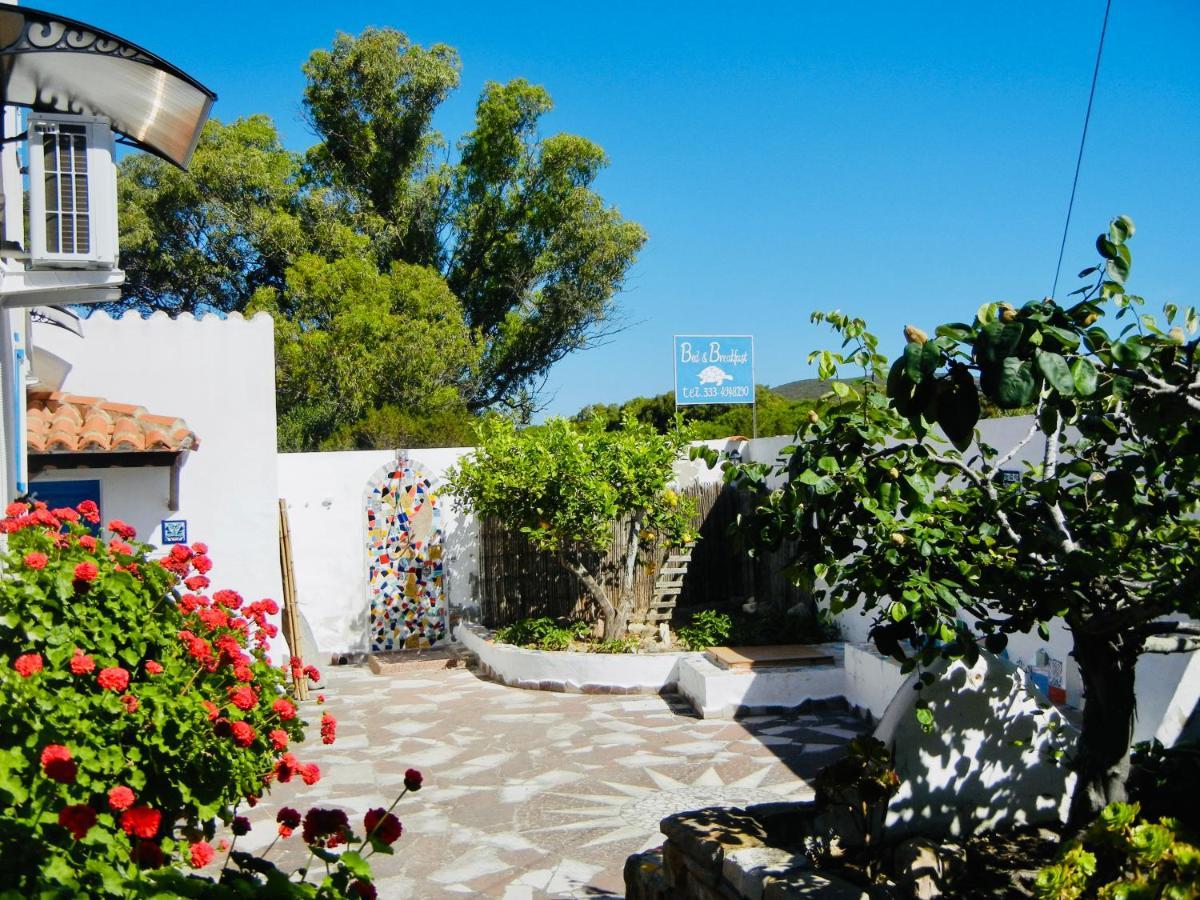 Alba B&B Carloforte  Dış mekan fotoğraf